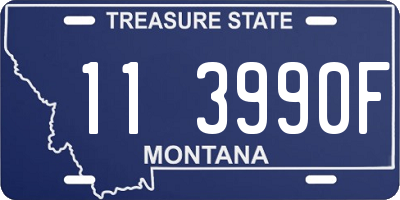 MT license plate 113990F