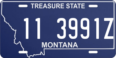 MT license plate 113991Z