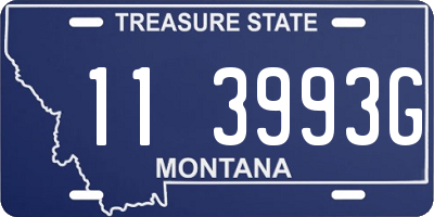 MT license plate 113993G