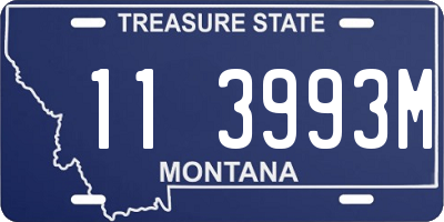 MT license plate 113993M