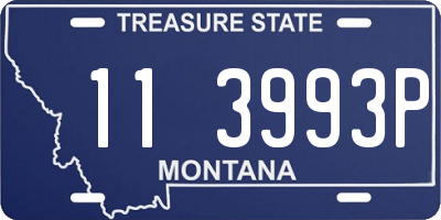 MT license plate 113993P