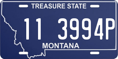 MT license plate 113994P