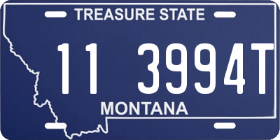 MT license plate 113994T