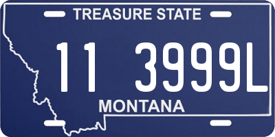 MT license plate 113999L