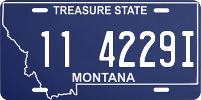 MT license plate 114229I