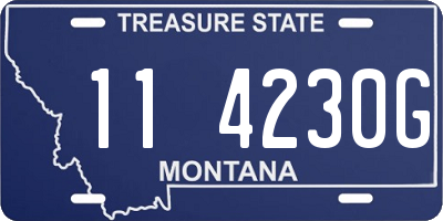 MT license plate 114230G