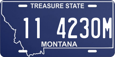 MT license plate 114230M