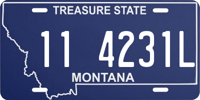 MT license plate 114231L