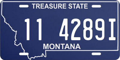 MT license plate 114289I