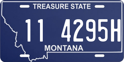 MT license plate 114295H