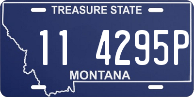 MT license plate 114295P