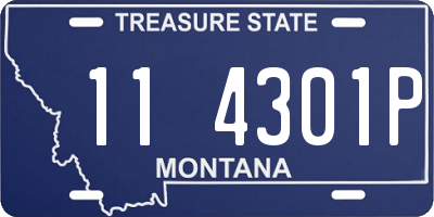 MT license plate 114301P