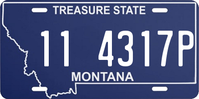 MT license plate 114317P