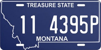 MT license plate 114395P