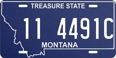 MT license plate 114491C