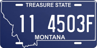 MT license plate 114503F