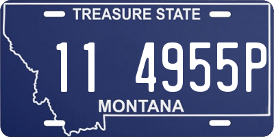 MT license plate 114955P