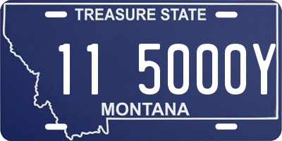 MT license plate 115000Y