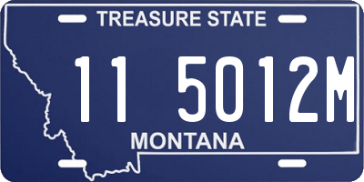 MT license plate 115012M