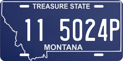 MT license plate 115024P