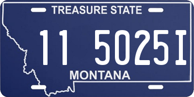 MT license plate 115025I