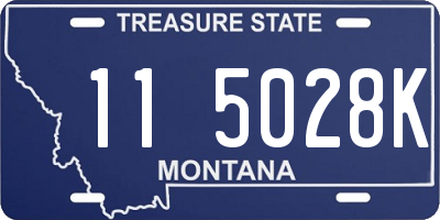 MT license plate 115028K