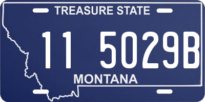 MT license plate 115029B