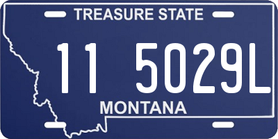 MT license plate 115029L