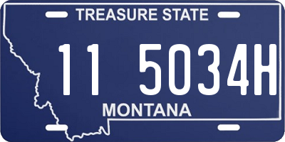 MT license plate 115034H