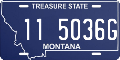 MT license plate 115036G