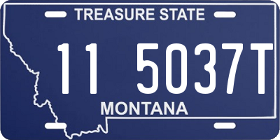 MT license plate 115037T