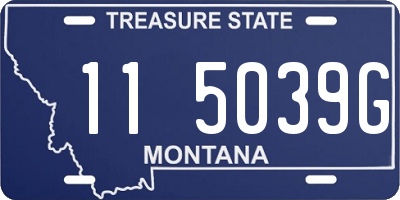 MT license plate 115039G