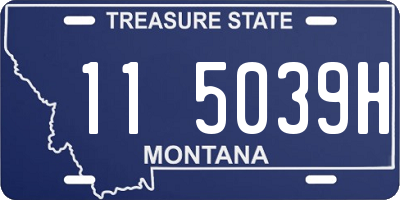 MT license plate 115039H