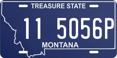 MT license plate 115056P
