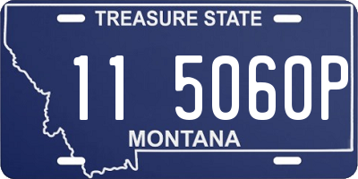 MT license plate 115060P