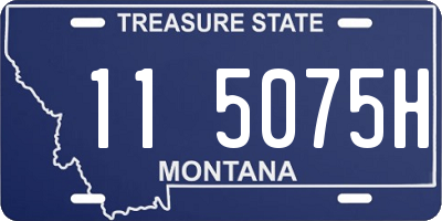 MT license plate 115075H