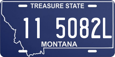 MT license plate 115082L