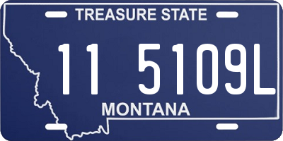 MT license plate 115109L