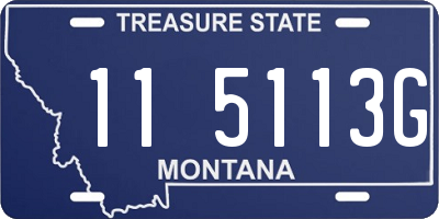MT license plate 115113G
