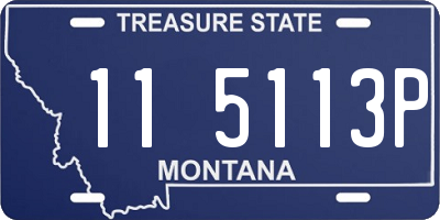 MT license plate 115113P