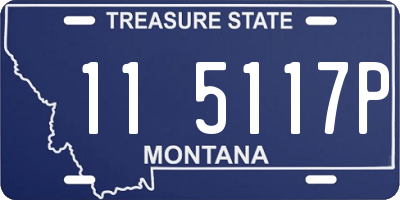 MT license plate 115117P