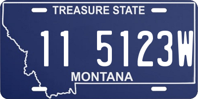 MT license plate 115123W