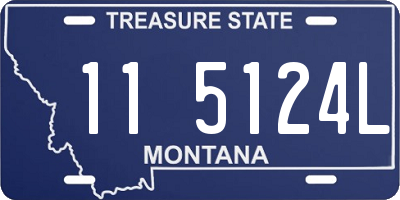 MT license plate 115124L