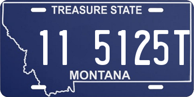 MT license plate 115125T