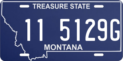 MT license plate 115129G