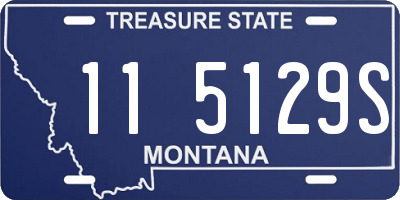 MT license plate 115129S