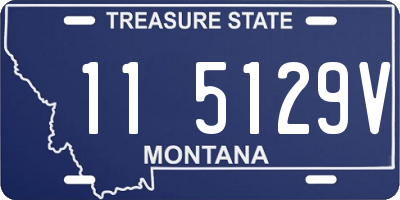 MT license plate 115129V