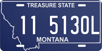 MT license plate 115130L