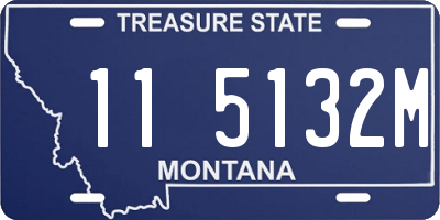 MT license plate 115132M