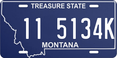 MT license plate 115134K